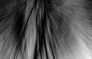 Thumbnail Placeholder