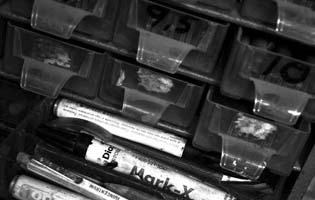 Thumbnail Placeholder