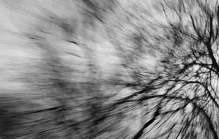 Thumbnail Placeholder