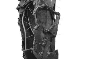 Thumbnail Placeholder